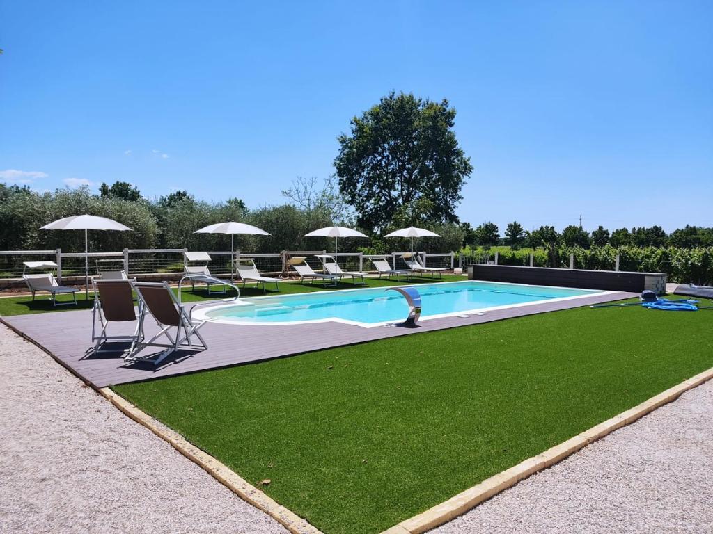 a swimming pool with chairs and umbrellas and grass at Al Benandant in Cormòns