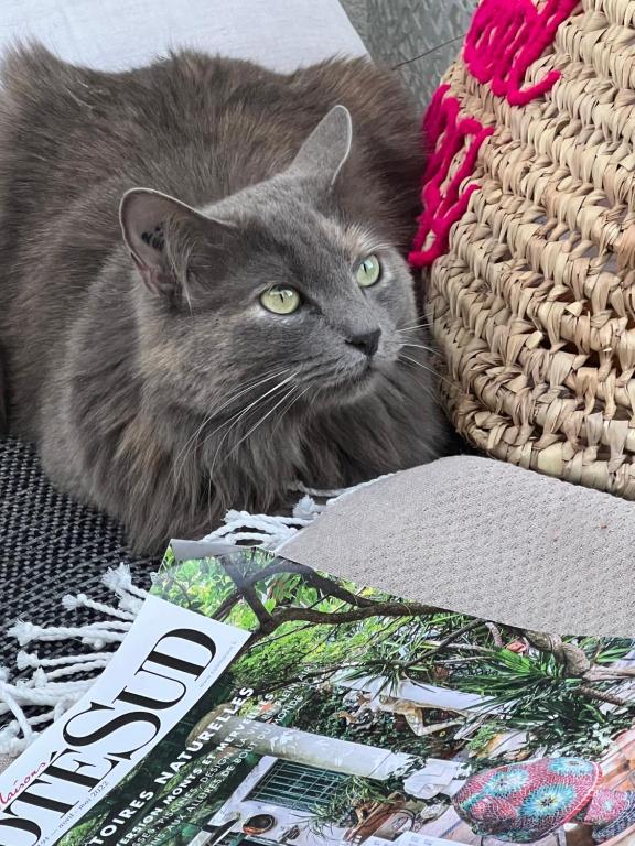 La Chambre Cézanne - 13