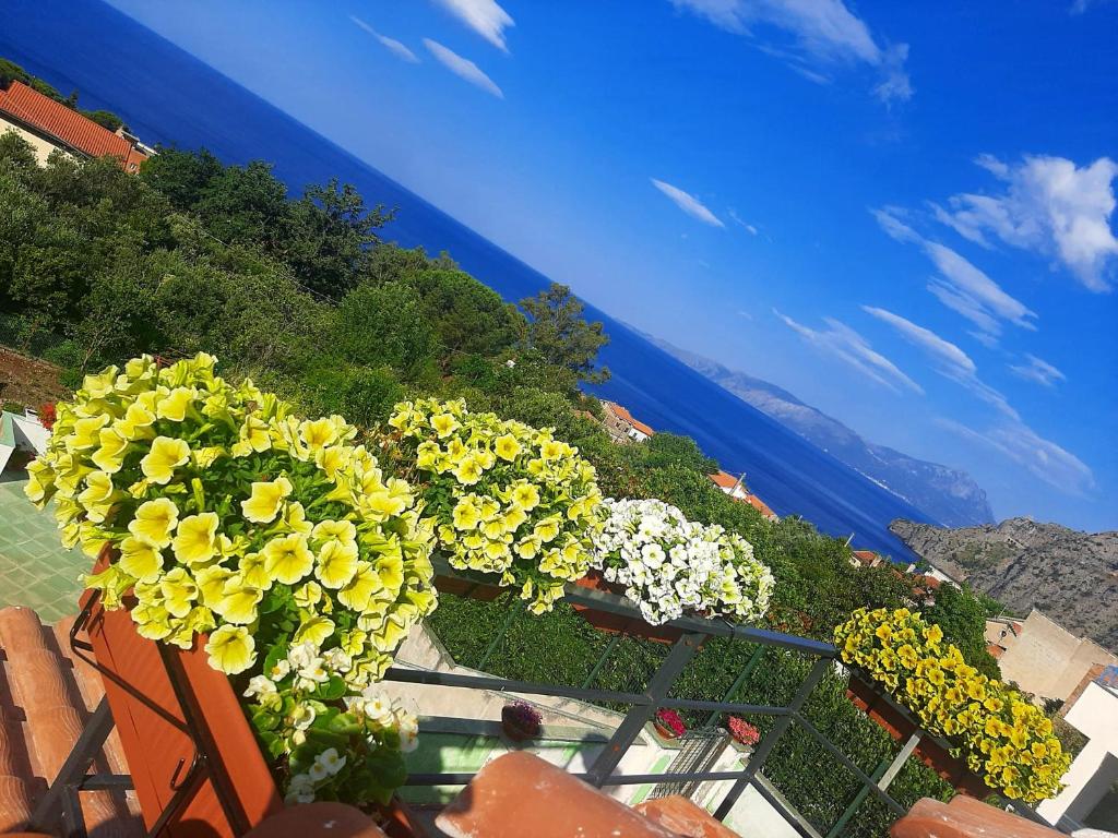 Le case del girasole - Housity