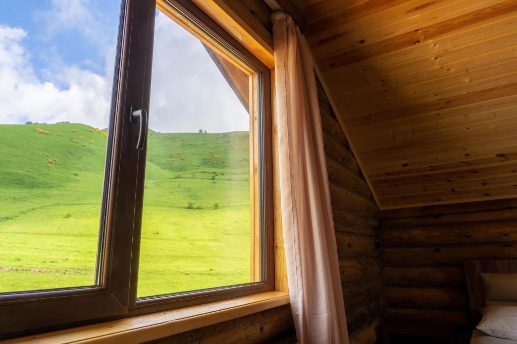 Příroda nedaleko chaty