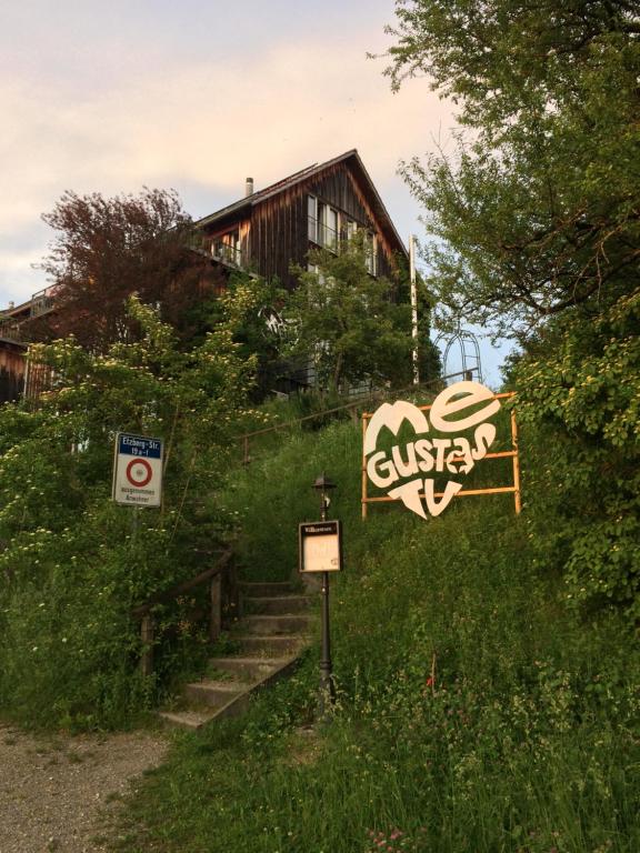 Me Gustas Tu - Séparée - Resim 14