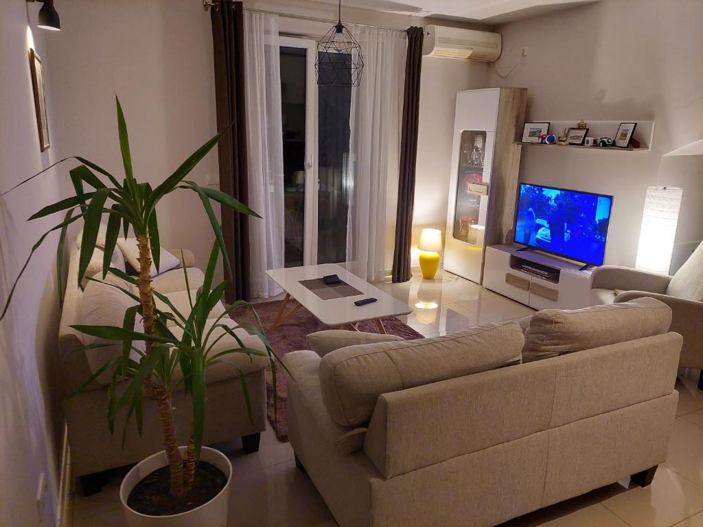 TV a/nebo společenská místnost v ubytování A2