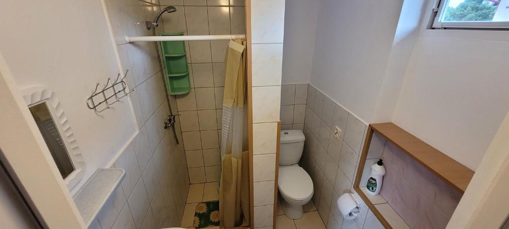 Kúpeľňa v ubytovaní Dom Bursztynek - domek (sad)