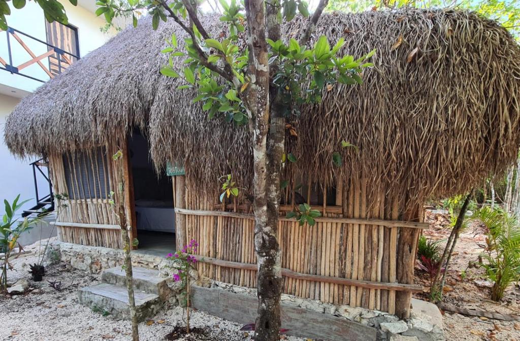Fotografie z fotogalerie ubytování Aldea Yuyu v destinaci Tulum