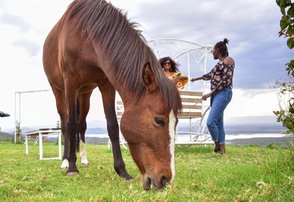 dwie kobiety stojące obok brązowego konia na polu w obiekcie Lemon Valley Farm w mieście Elmenteita
