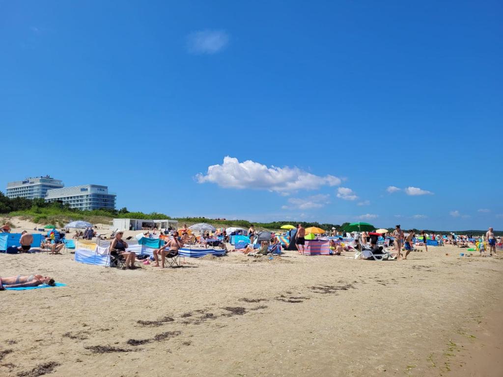 Pláž pri apartmáne alebo v blízkosti