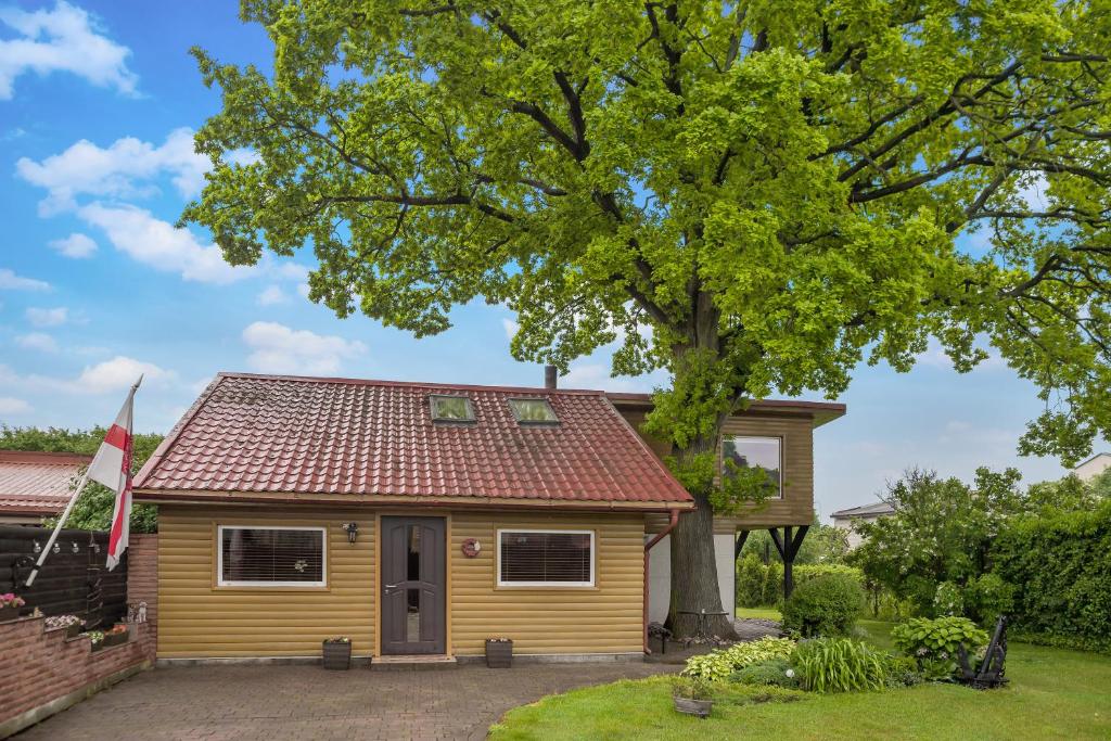 a yellow house with a tree in the yard at Venta in Ventspils