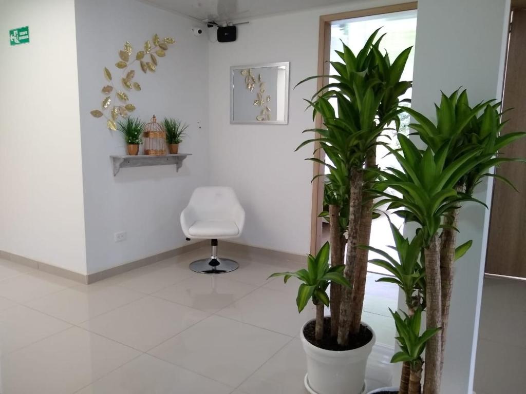 Fotografie z fotogalerie ubytování Hotel Federman Park Bogota v destinaci Bogotá