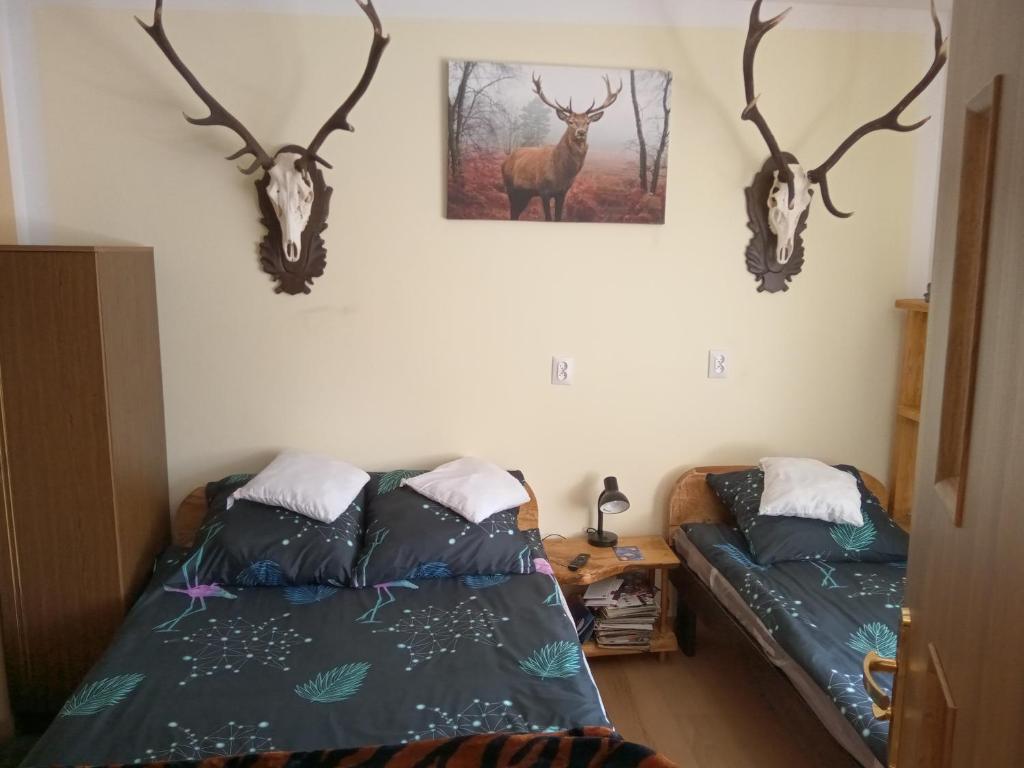 1 Schlafzimmer mit 2 Betten und Geweihen an der Wand in der Unterkunft Hunter 3 in Jugów