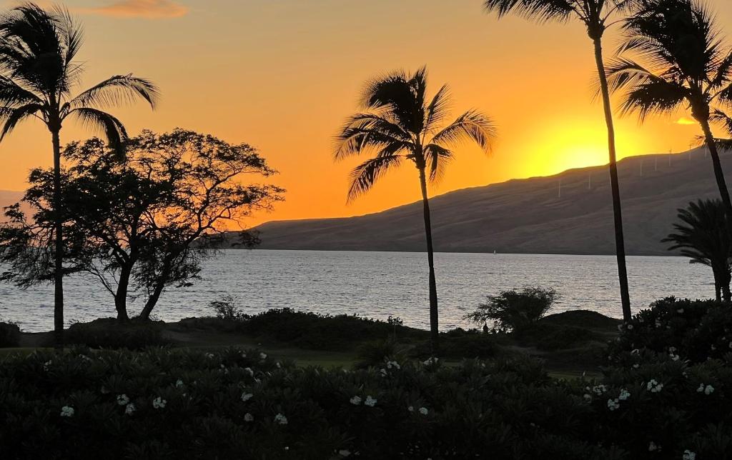 a sunset with palm trees in front of a body of water at Magnificent Sunsets and Ocean views at Luana Kai in Kihei