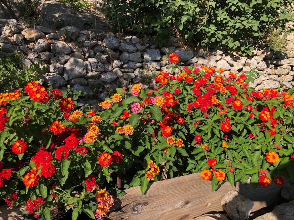 Zahrada ubytování Vistalago Garden Doria