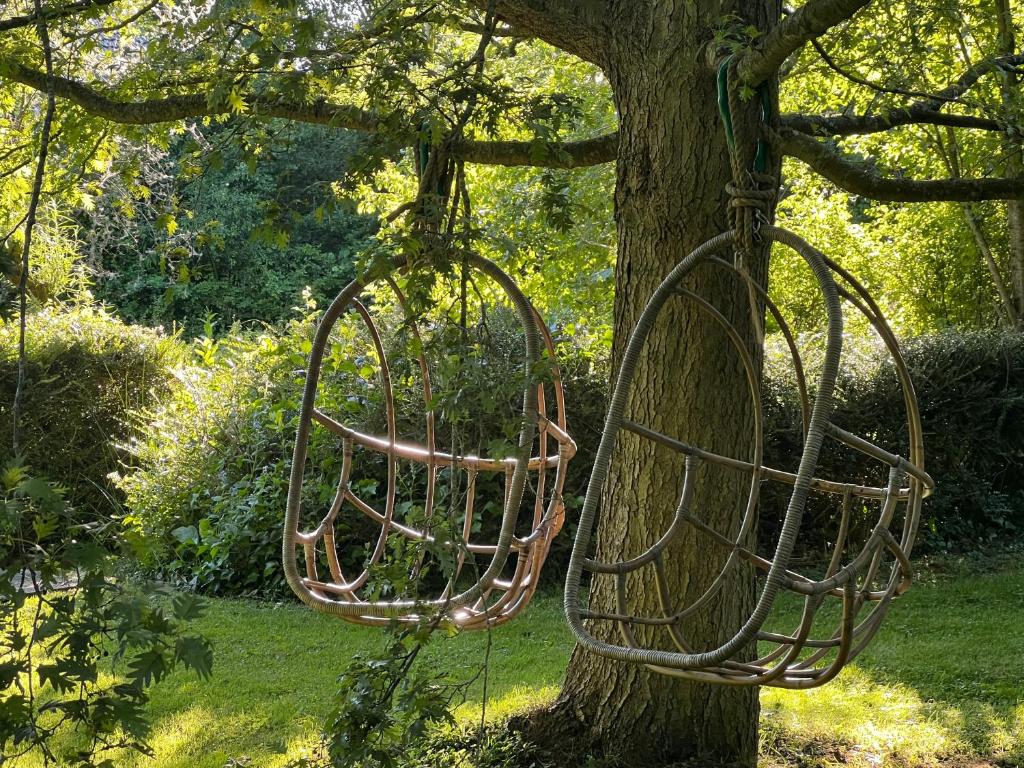 a bird feeder is hanging from a tree at De Aagt-Tuyn in Schoorl