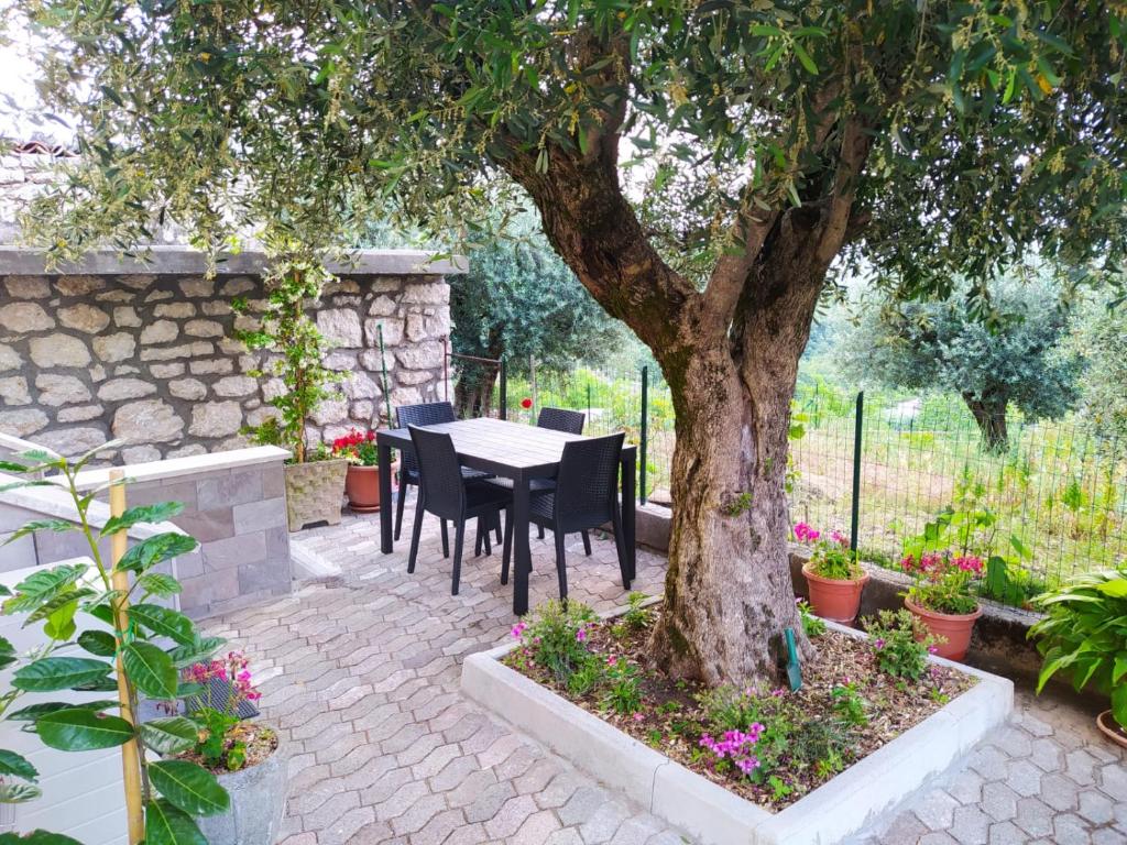 Casa degli Ulivi con parcheggio privato في Muro Lucano: طاولة وكراسي تحت شجرة في حديقة