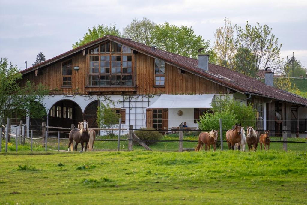 a group of horses standing in front of a barn at Ufering 60 in Teisendorf