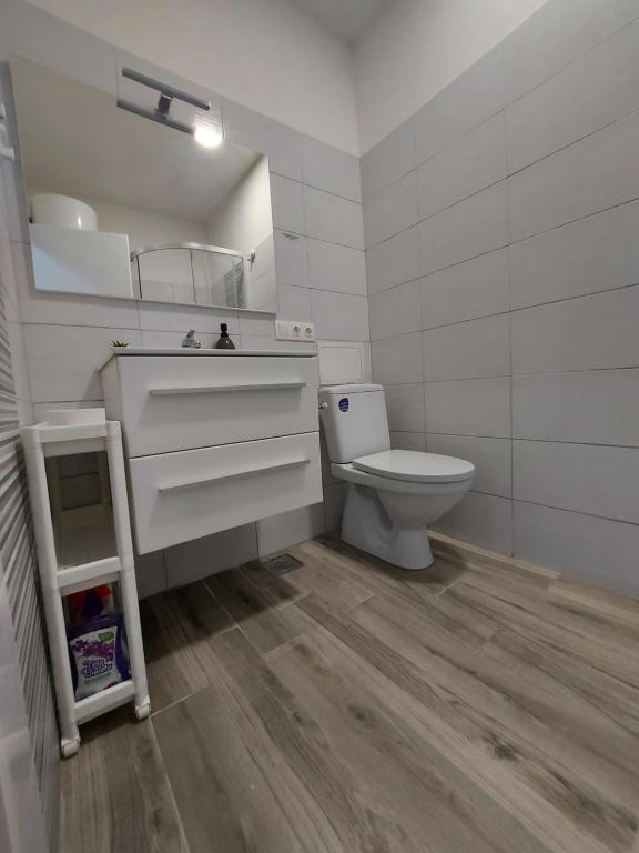 Koupelna v ubytování Apartment Nora Lastovo