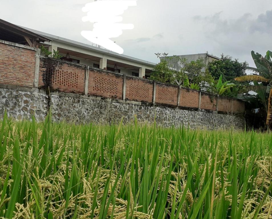 Zahrada ubytování Surya Lombok Accommodation