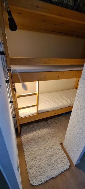 a bunk bed in a room with a rug at Appartement Puy-Saint-Vincent in Puy-Saint-Vincent