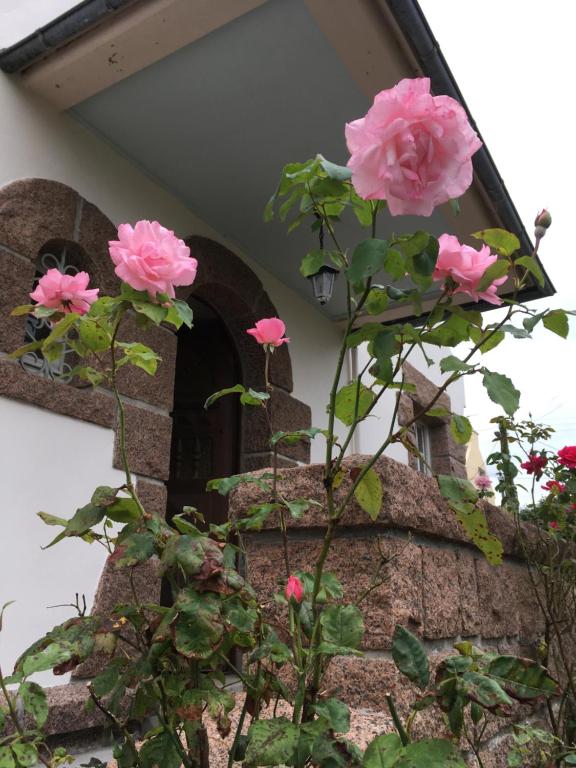 Villa Terem, house with two bedrooms, living and dining room, separate kitchen and own garden, 5 min walk from the center