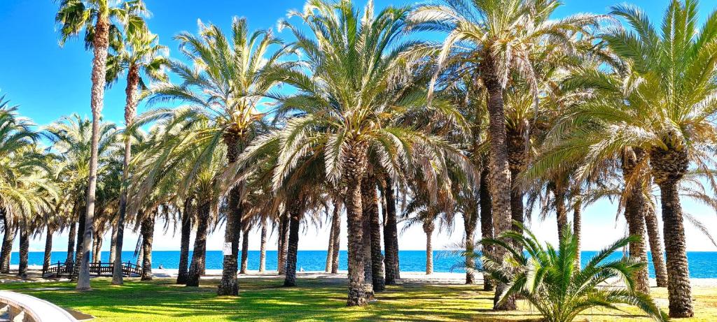 una fila de palmeras en la playa en VISTA AZUL No1, en Torremolinos