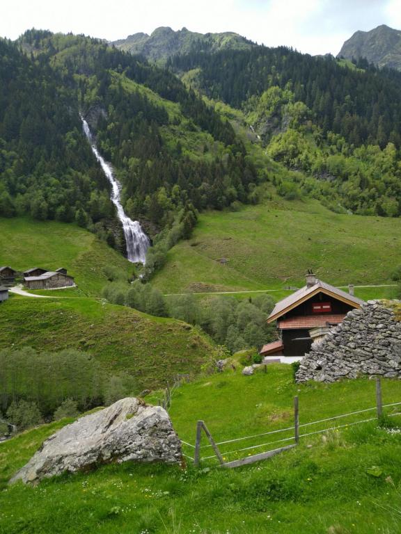 Příroda nedaleko apartmánu