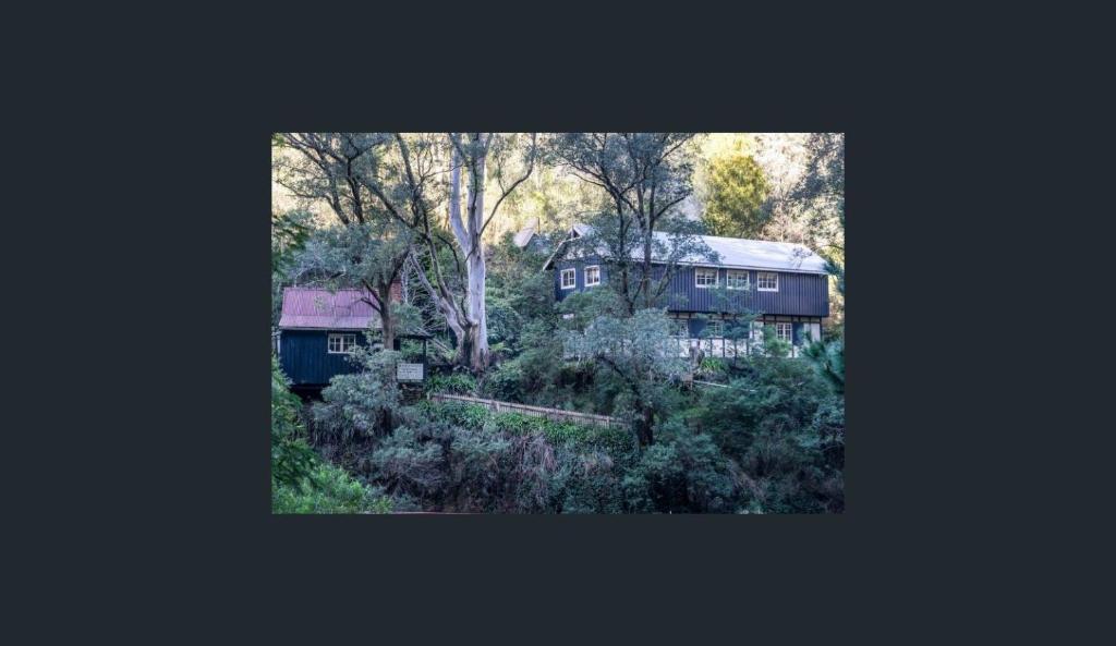 an image of a house with trees and bushes at Walhalla Guesthouses in Walhalla
