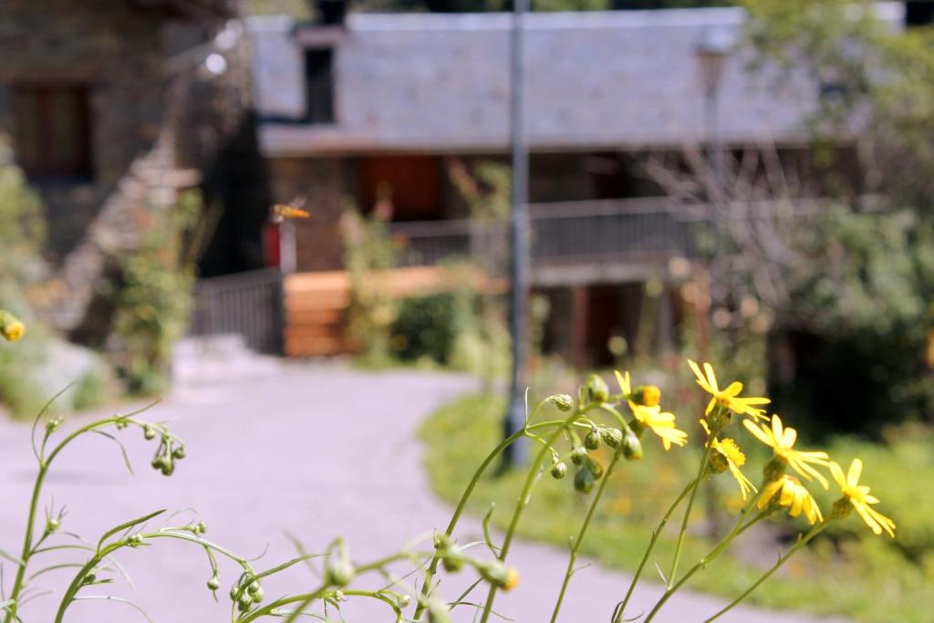 Zahrada ubytování Apartaments Turístics Vilaró