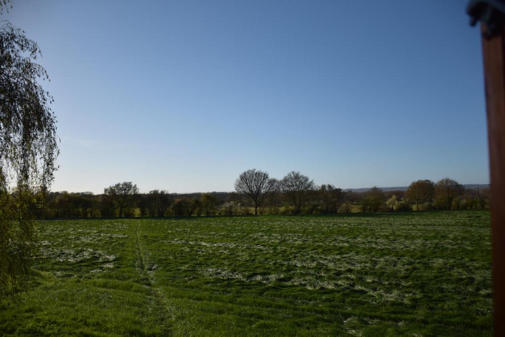 un campo de flores blancas en un campo en The Annexe Headcorn, en Headcorn