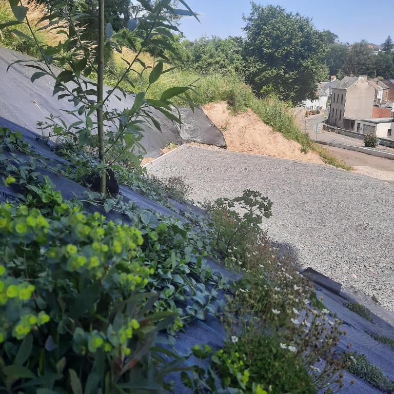 Fotografie z fotogalerie ubytování Avou nozôtes v destinaci Namur