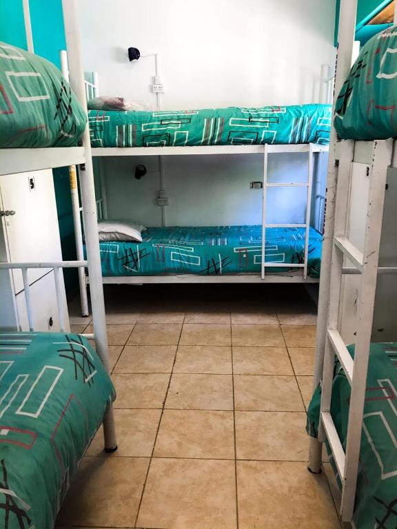 Palanda nebo palandy na pokoji v ubytování Hostel Punto Patagónico Neuquén