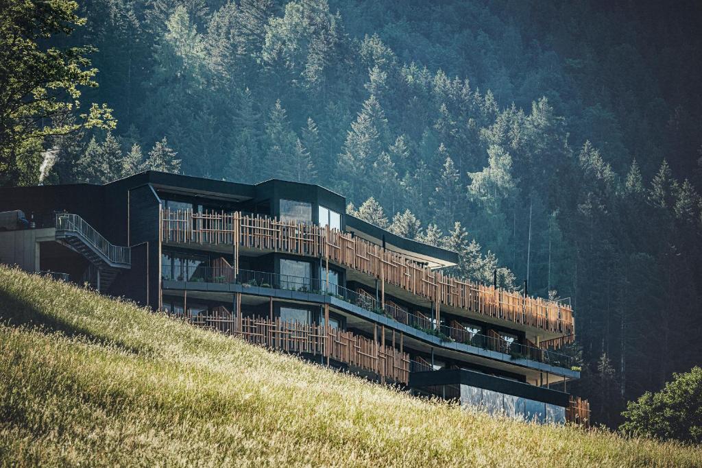 Příroda nedaleko hotelu