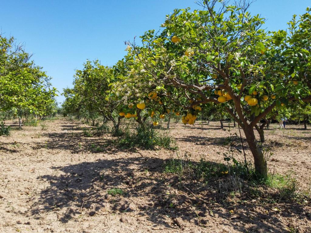 Fotografie z fotogalerie ubytování Torre Tabia v destinaci Sciacca