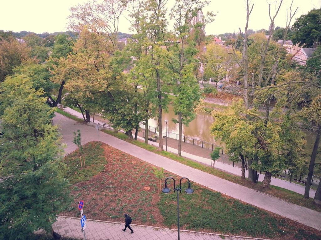 Hotel DeSilva Premium Opole - 12