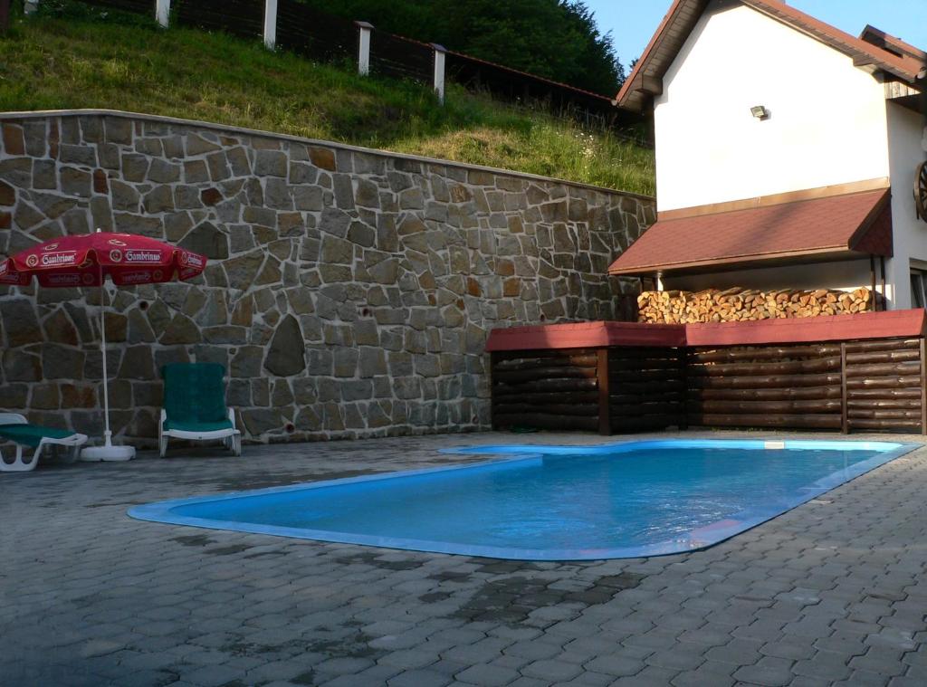 Bazén v ubytování Pension Karolína nebo v jeho okolí