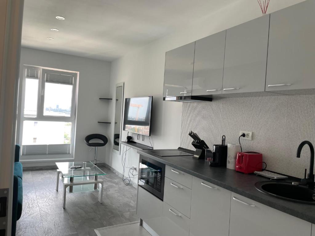 Nhà bếp/bếp nhỏ tại Cozy 2-Room Penthouse Lakeview W14