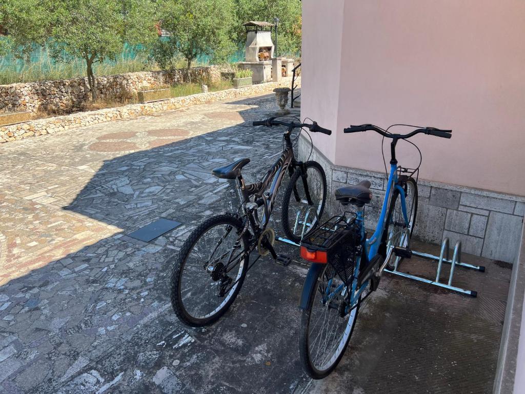 Jízda na kole v ubytování Villa L'Ottagono con cucina parcheggio privato telecamerizzato e wifi nebo okolí