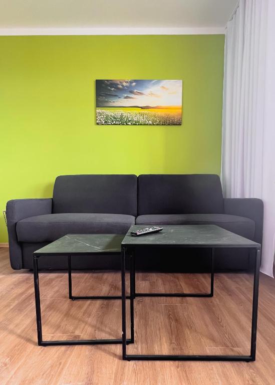 Posezení v ubytování Apartmány hotelu Ostrý