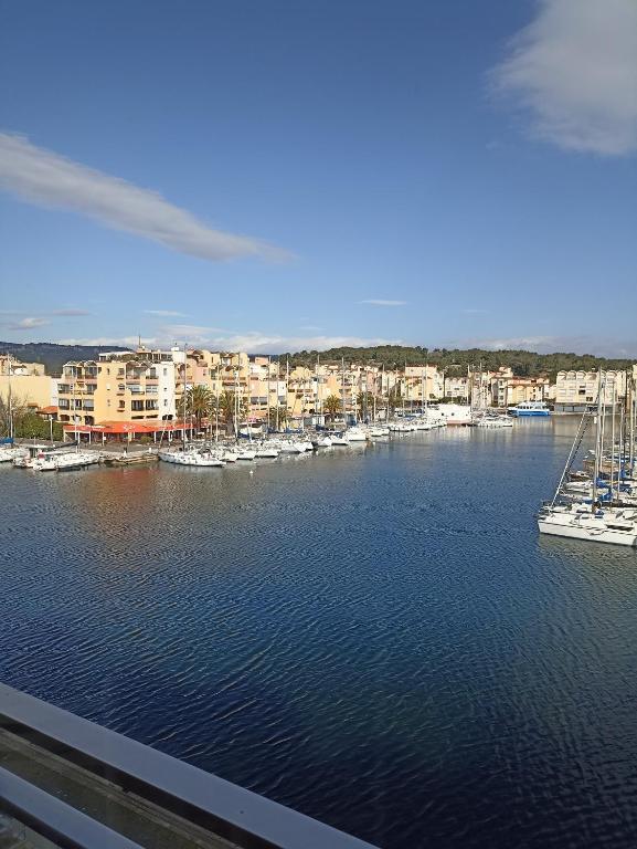 une vue d'une marina avec des bateaux dans l'eau dans l'établissement Port panoramique, à Gruissan