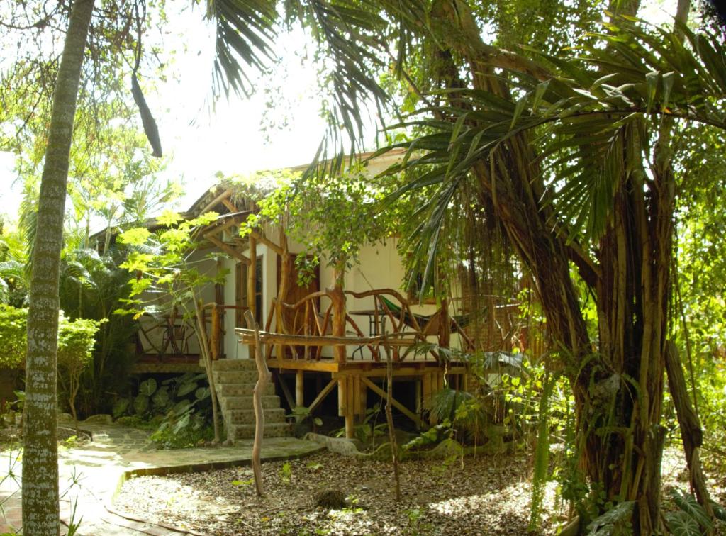 a house in the jungle with chairs and trees at Hosteria Cabanas Itapoa in Puerto López