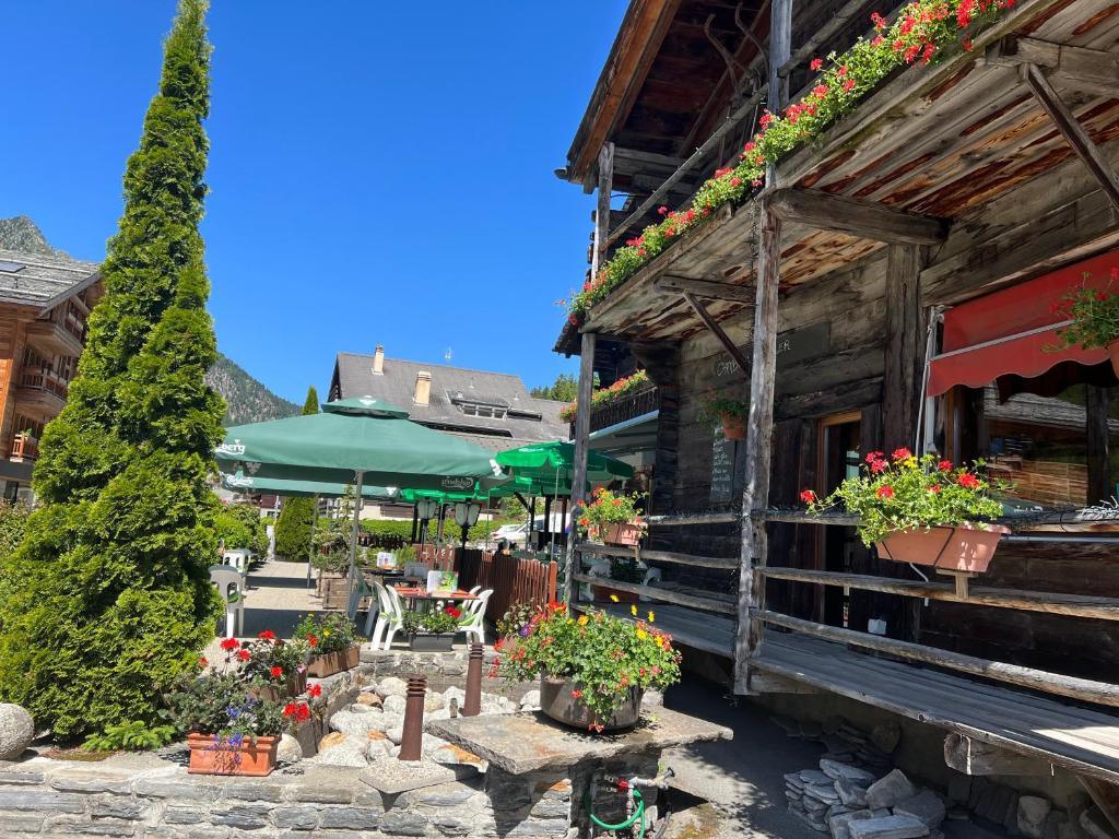 Κήπος έξω από το Au Vieux Champex