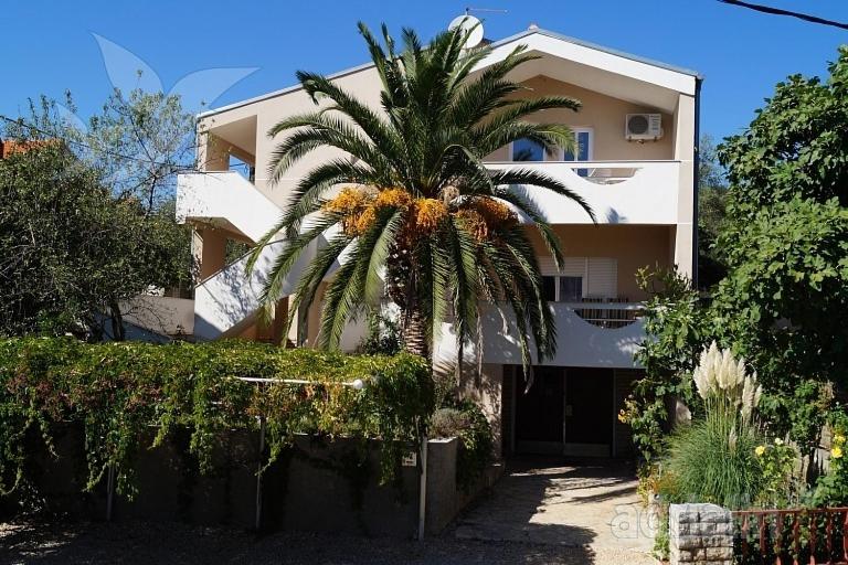 a palm tree in front of a building at Apartments Nikolina in Posedarje