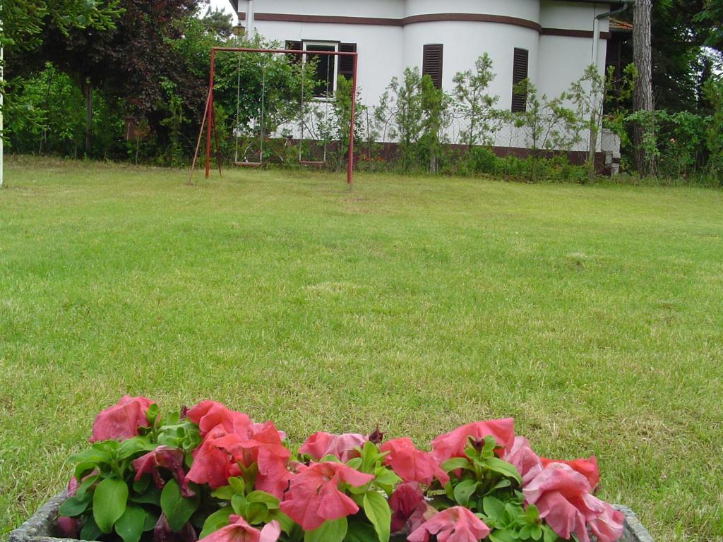 Zahrada ubytování Vila Regina