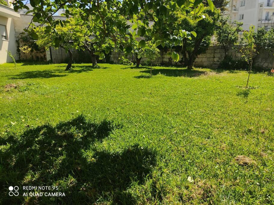 Vonkajšia záhrada v ubytovaní Villa Lucetta