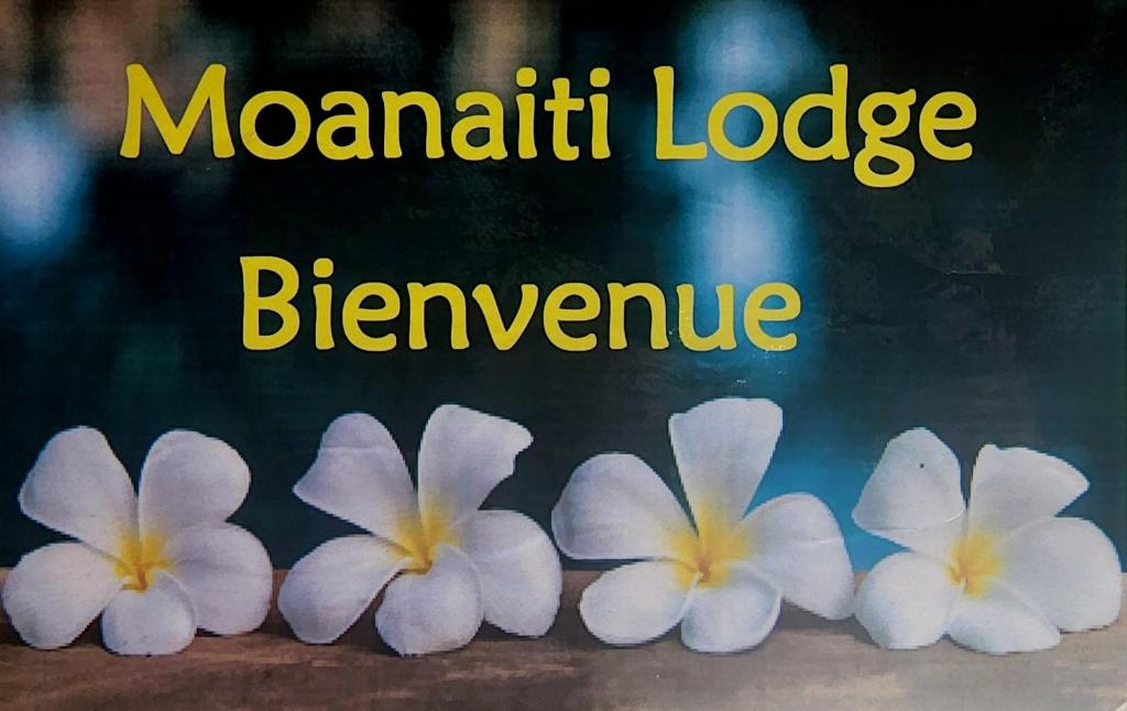 Maheva的住宿－Moanaiti Lodge，坐在桌子上的一组白色花