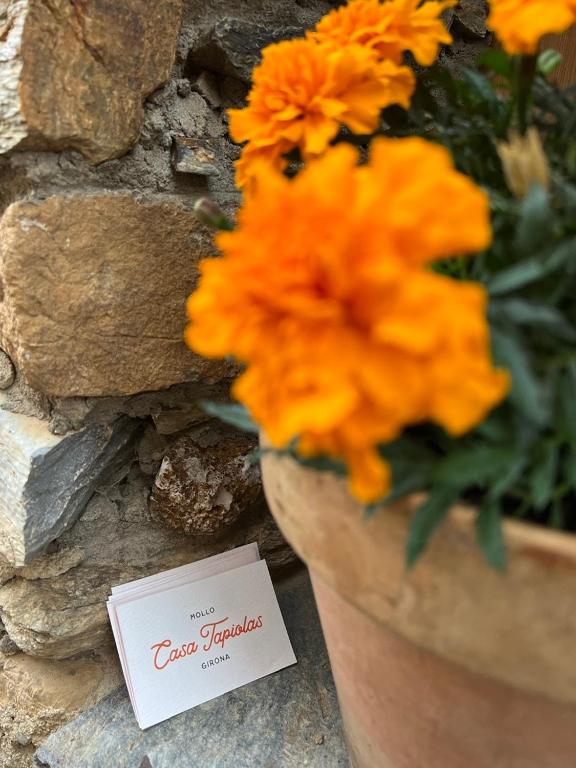Fotografie z fotogalerie ubytování Casa Tapiolas Rectoría v destinaci Molló