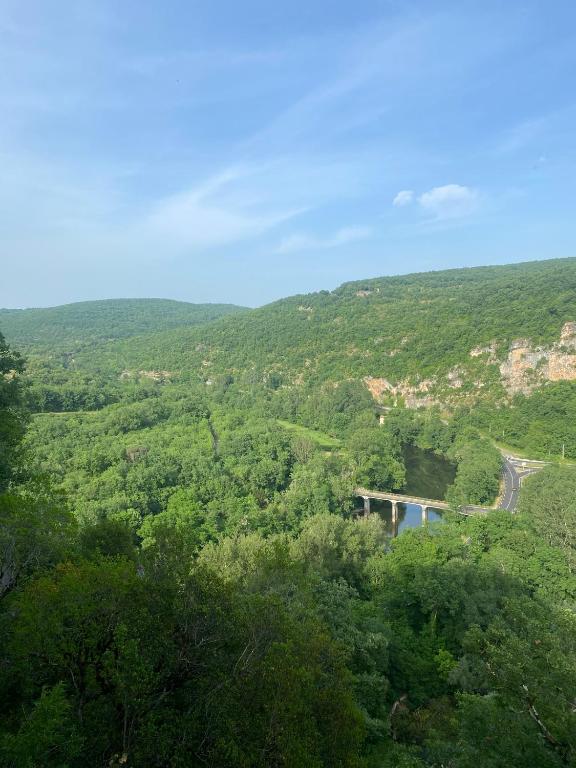 a road in the middle of a valley with trees at Maison de 2 chambres avec piscine privee jardin amenage et wifi a Bruniquel in Bruniquel