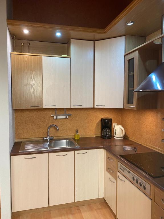 Kuchyňa alebo kuchynka v ubytovaní Dekoratoria Apartments