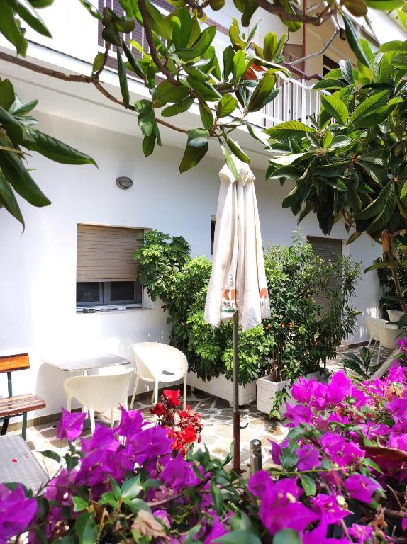 Zahrada ubytování Hotel Ritsa