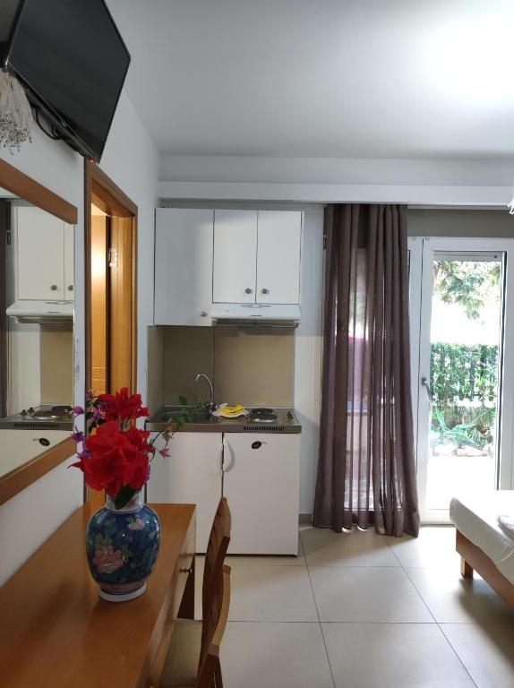 Kuchyň nebo kuchyňský kout v ubytování Hotel Ritsa