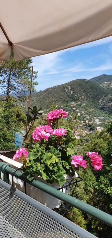 Nespecifikovaný výhled na hory nebo výhled na hory při pohledu z bed and breakfast