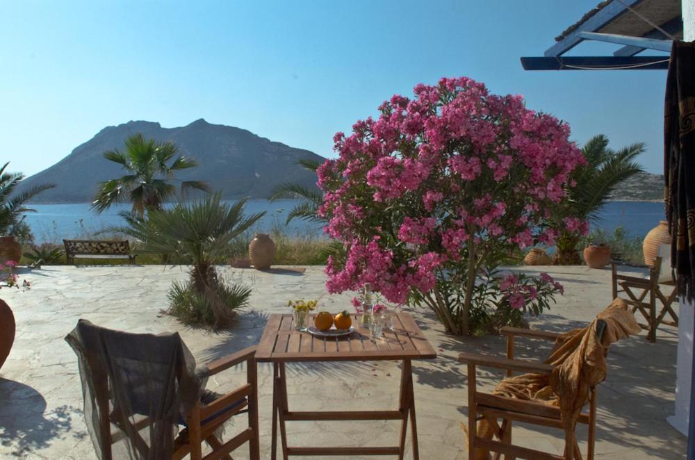 Φυσικό τοπίο κοντά σε αυτό το διαμέρισμα